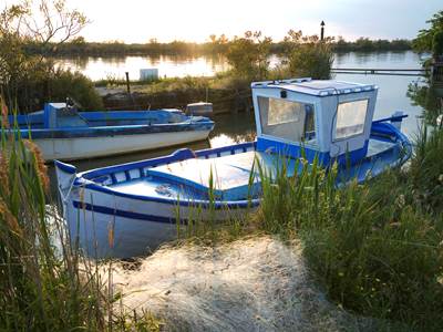 154771787-photo-around