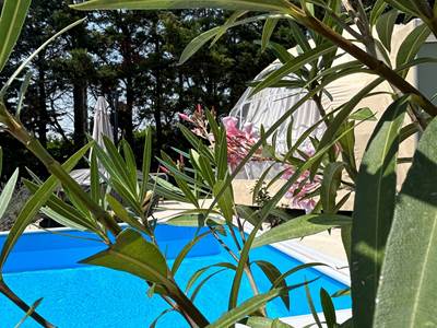 Terrasse avec piscine