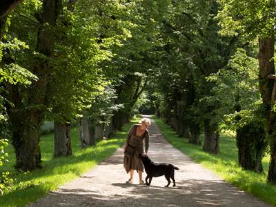 La balade au milieu du Domaine de Clairs Chênes