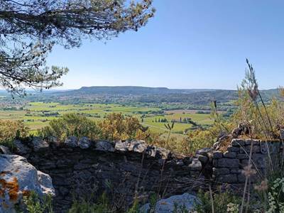 Panorama sans titre-1