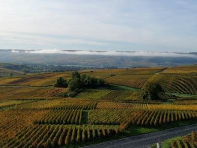Vue automnale au champagne ARNOULT