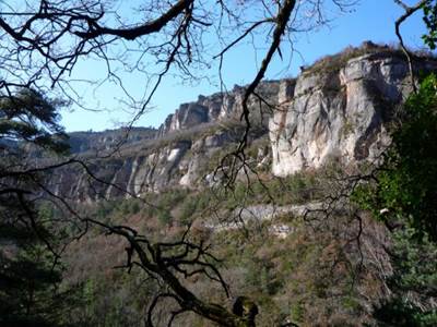 trevezel