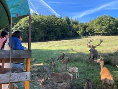 Vacances en famille en Aveyron avec vue sur le parc animalier à Montrozier