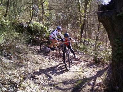 8f5b0d8d-5dfd-4d9c-a5ac-b32ca3c5b193-photo-around