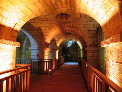 La Crypte du Bayaà Salies de Béarn-photo-around