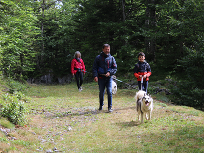 Cani-randonnée en famille