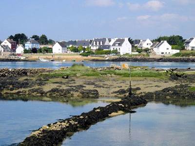 9a42b830-1e87-425d-9313-fbac0116fd14-photo-around