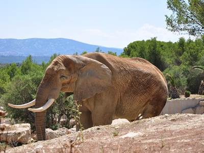 516033667 (1)-photo-around