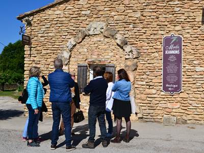Visite d'un Domaine Oléicole-presta