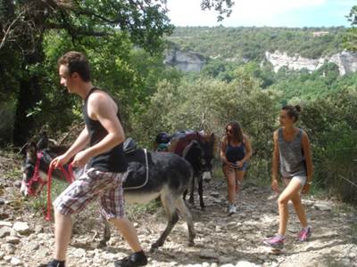 a2915752-6761-4e28-8b8e-b2c9d61de8f0-photo-around