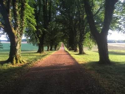ALLEE DOMAINE DES CLAIRS CHENES