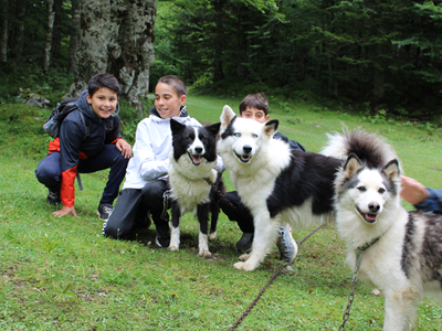 Séjour 100% Canisport chez Tracés Sauvages