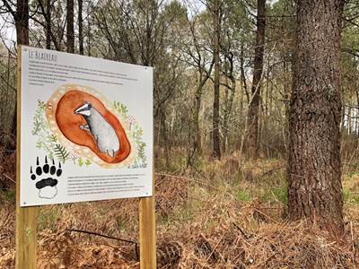 Panneau pédagogique sur la faune et la flore