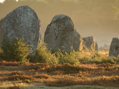 GettyImages-563454633-photo-around