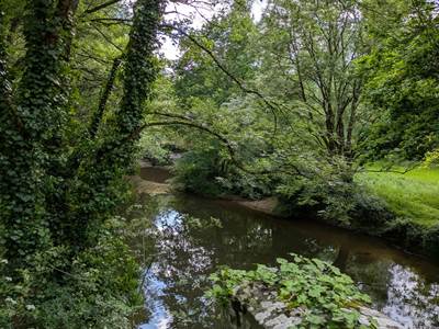 Vendée - près Aizenay