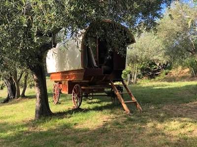 Authentique roulotte hongroise