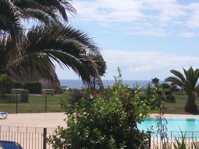 Vue sur la piscine