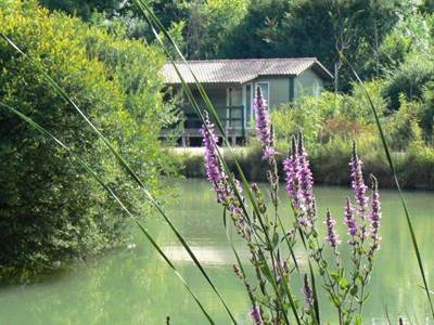 chalet autour de l'étang