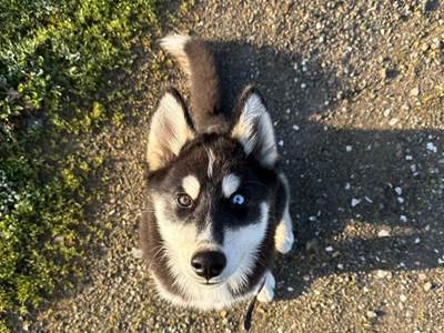 WhatsApp Image 2026-02-03 at 18.06.56