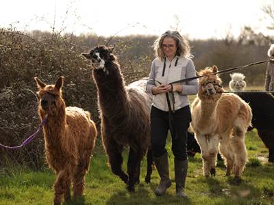 Lama Emoi, une ferme à Saint-Aignan