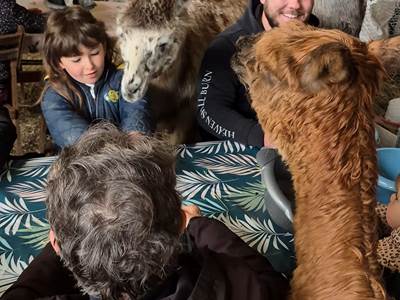 Servir le petit-déjeuner aux lamas