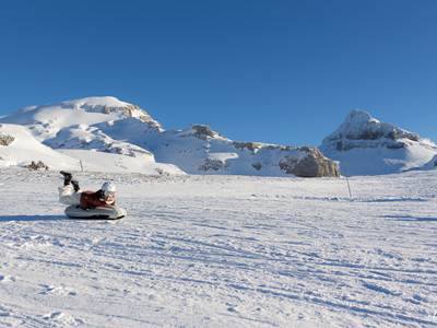 IMG_2289-photo-around