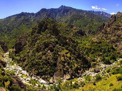 montagne-maquis-corse