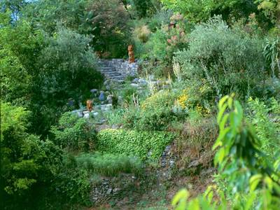 8.visite.jardin.sambucs.aigoual.cevennes.nature
