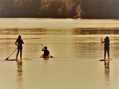 paddle