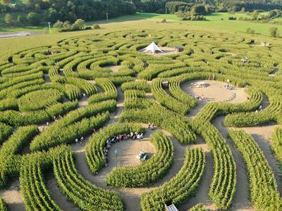 Le labyrinthe - Barvaux sur Ourhe-photo-around