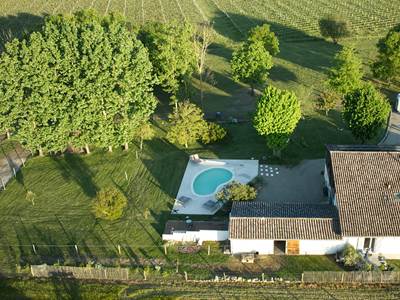 NID DU COUCOU FACE ARRIERE