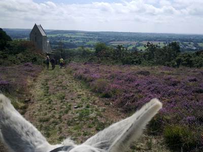 Mont Doville recouvert de bruyère avec visite église