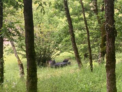 La banquette sous les arbres