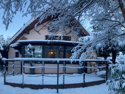 REFUGEECUREUILPANOFACE1280