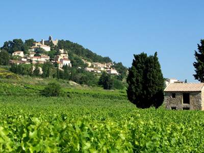 ff88853f-455f-4810-9cb6-48a2b6a0e1c3-photo-around