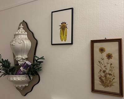 pc-galerie