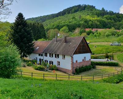 20250503_162650-galerie