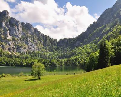 REFUGE DU COL - Étang-galerie