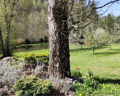 Parc - Plan d'eau-galerie