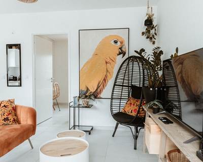 Coin lecture-galerie