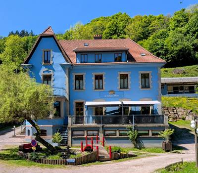 Gite-de-groupe-alsace-vosges-chalet-facade-tilleul-bleu