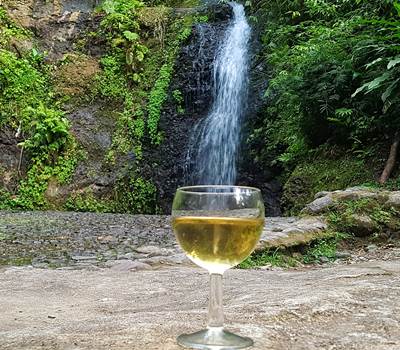 Vin de banane au saut Gendarme - visite excursion gourmande Pile et Face