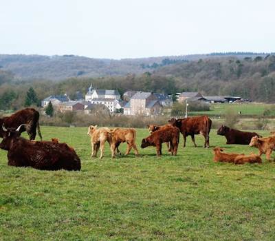 Le hameau tranquille de Xhignesse de +/- 40 habitants