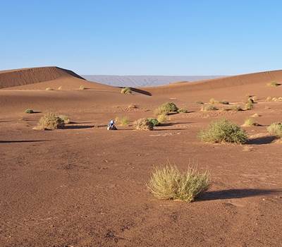 IMG-20260216-WA0026