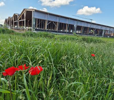 Ferme des Délices Foréziens à Saint Cyr les Vignes
