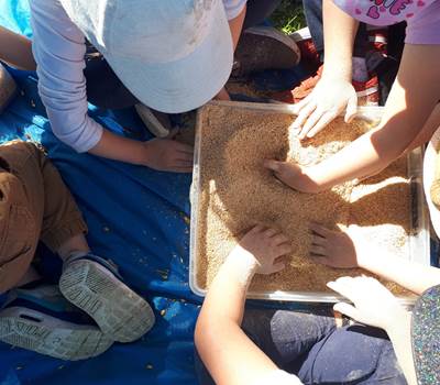 la ferme des delices foreziens, ferme pedagogique, visites familles,boîtes sensorielles,céréales,farine,st cyr les vignes, loire forez, 42