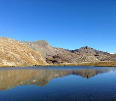 lac-cema
