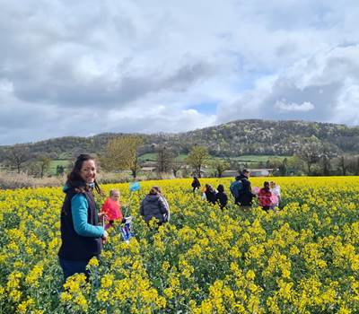 Ferme des delices foréziens,ferme pédagogique,vache,lait,agroécologie,biodiversité,colza,visites,loire forez,42,st cyr les vignes