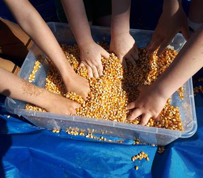 la ferme des delices foreziens, ferme pedagogique, visites familles,boîtes sensorielles,céréales,maïs,st cyr les vignes, loire forez, 42