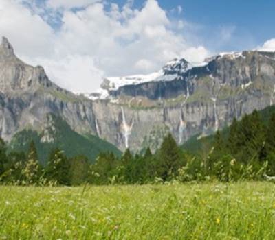 Ver Cirque